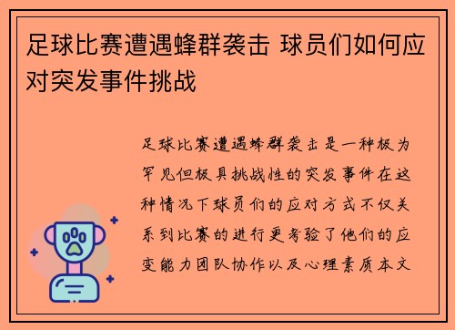 足球比赛遭遇蜂群袭击 球员们如何应对突发事件挑战